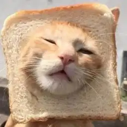  情侣头像谁说世界上没有童话,你就是啊