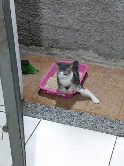  一看吓一跳雷死人不偿命的囧图集542