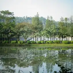  2020大夫山森林公园门票,广州大夫山森林公园游玩攻略,大夫山森林公园游览攻略路线地址门票价格