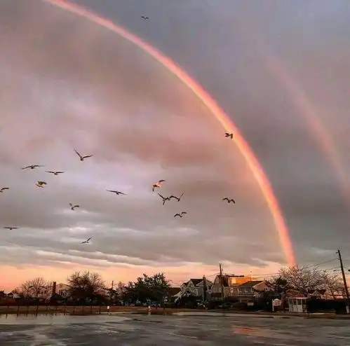  充满智慧的25句话,积极阳光,读一读受益无穷