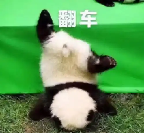  我和大神之间,只差了10000小时的练习时间