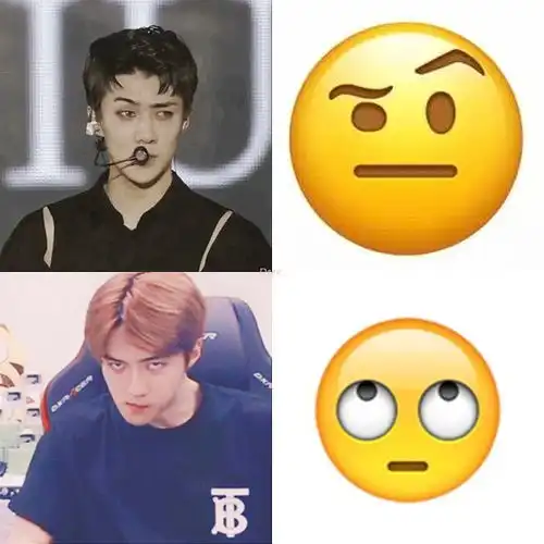  吴世勋的颜艺人生,就是一枚行走的贵族表情包