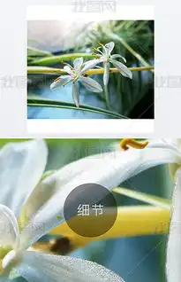  psd朵花瓣花psd格式朵花瓣花素材图片psd朵花瓣花设计模板我图网