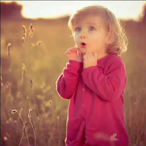  绝密档案新中国第一刑事大案48人连杀案下