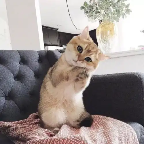  背景图丨怕无归期怕空欢喜怕来者不是你