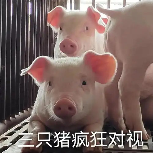  超可爱的情侣系列表情包如何让你喜欢上我