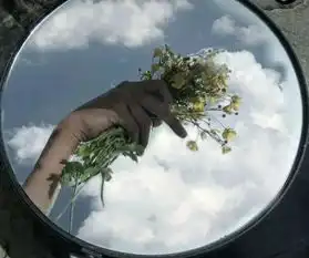  听说对镜自拍很火,做头像美到班主任,校花已自动退出群聊