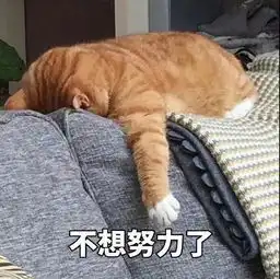  狐狸来了丨杨紫这样掉fu子疼痛十级猕猴桃女孩进来康康