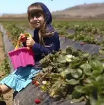  跪求一张欧美小孩的情侣头像采纳追加100