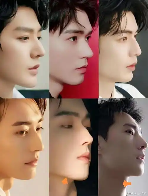  内娱这几位男明星的侧颜杀我