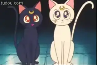  求达人美少女战士里的小猫咪图那两只黑白猫