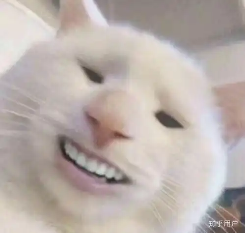  拉的屎把马桶堵住了是怎样一种体验