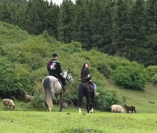  森林北带汪峰骑马,真情侣就是甜,教练夸森林北漂亮,说汪峰随和