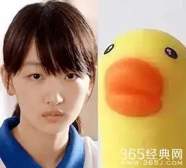 刘昊然撞脸柴犬,这些人凑一起可以拍真人版的疯狂动物城吧