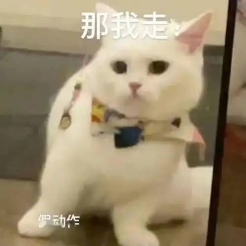  头像人生漫漫,步履不停