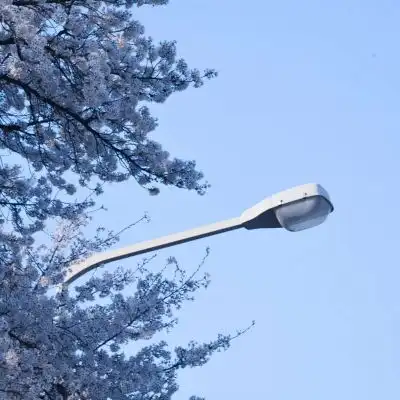  宋知意ins唯美樱花意境清新背景风景静物头像我要个性网