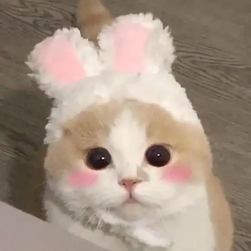 大火的晶石猫眼怎么搭才好看
