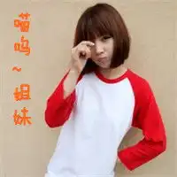 咕噜噜唔呼呼喵呜呜