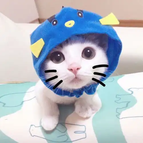  这个的情侣头像是什么