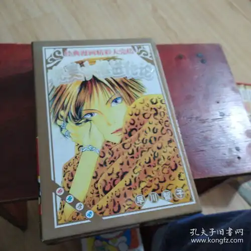  完美小姐进化论13全