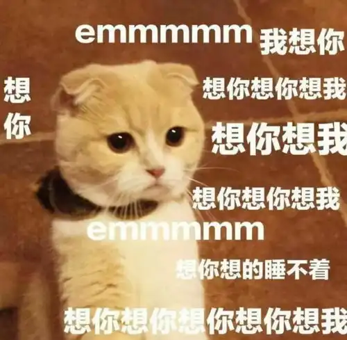  96个小时足不出户,守普有我,配合更妥