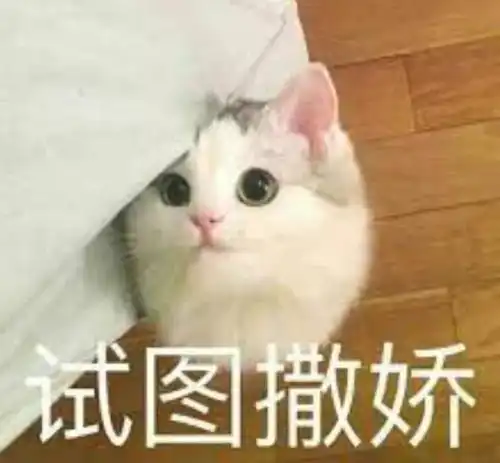  你敢信蛋炒饭也能炒出一篇好文书