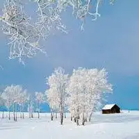  魏欣欣下雪头像图片大全微信头像图片大全