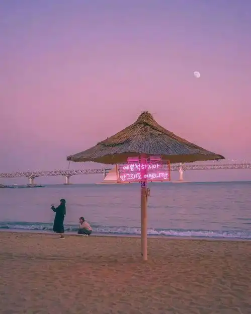  七言我突然爱上了钱生活