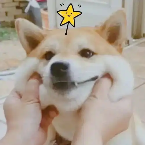  你和ta的情侣头像该换了