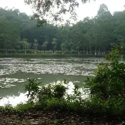  2020大夫山森林公园门票,广州大夫山森林公园游玩攻略,大夫山森林公园游览攻略路线地址门票价格