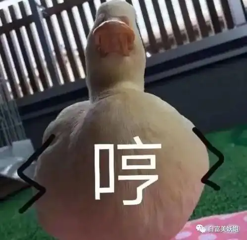  拒绝奶茶和百亿千金的苏宁太子,栽到带娃大佬情妇身上了