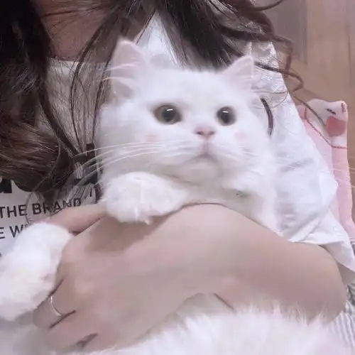  情头丨情侣头像