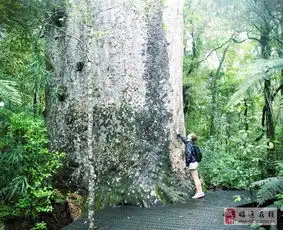  精选图片帖昭通论坛第339页
