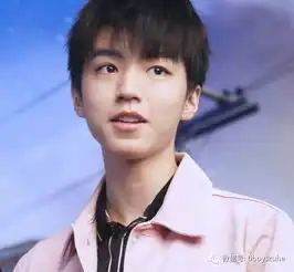  王俊凯飞机故障返航,改签再改飞只为参加团体活动,团糖好甜