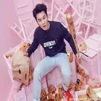  李晨范冰冰微博情侣头像微信头像图片大全