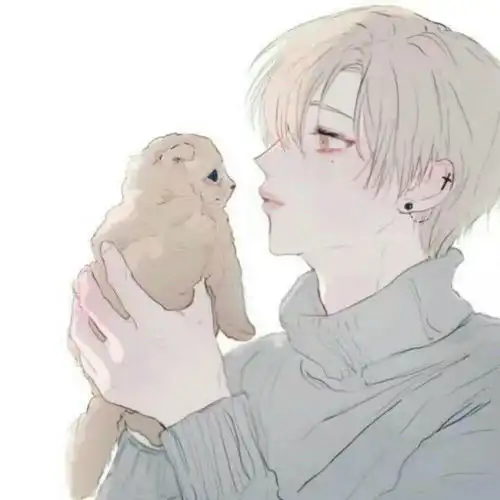  今日推文离婚后还没享受生活,意外变成了猫铲屎官还是前夫