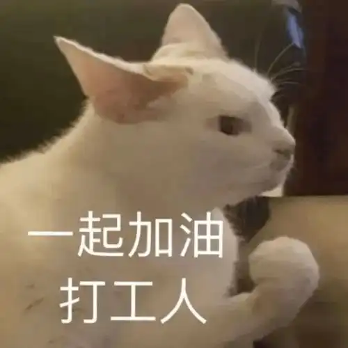  665号港湾已就绪打工人,请进