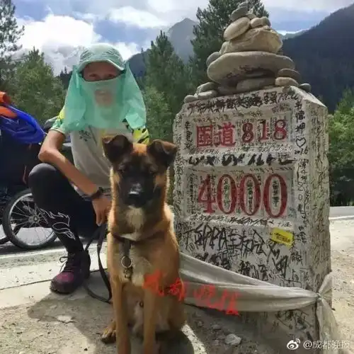  大写的服150天4700公里,安徽90后情侣带着一只狗爱情长跑去西藏