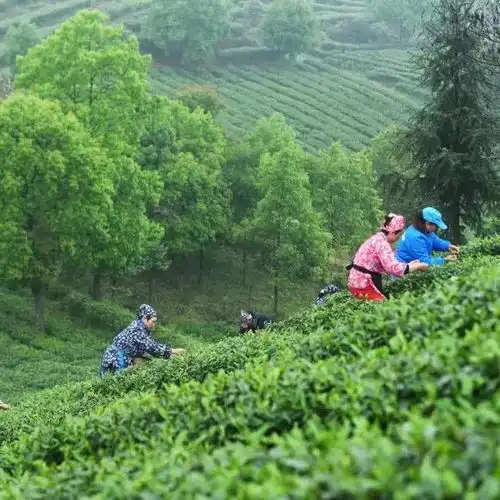  滁州发现许多宝藏村庄,一起来体验乡村度假吧