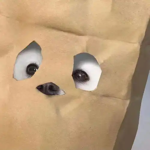  七夕特刊你的情头被我承包了