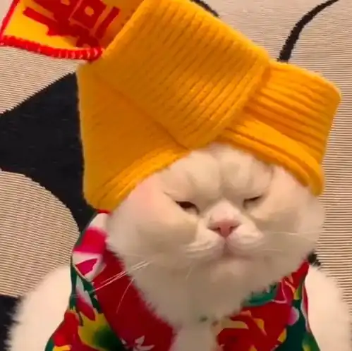沙雕双人头像可做闺蜜头像或情头