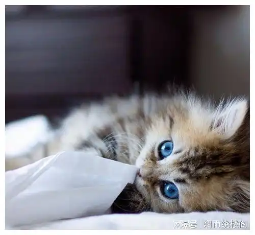 幽默笑话那年,我姐和她闺蜜一起去游泳救生员小哥很帅打架网易订阅