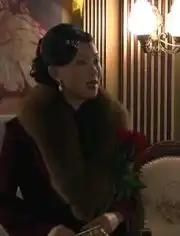  新上海滩孙俪版