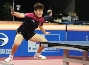  德国公开赛马龙张继科双打组合无缘四强