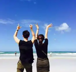  情人节,让老司机带带你