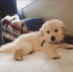  头像我向来三分钟热度唯你在我心上反复