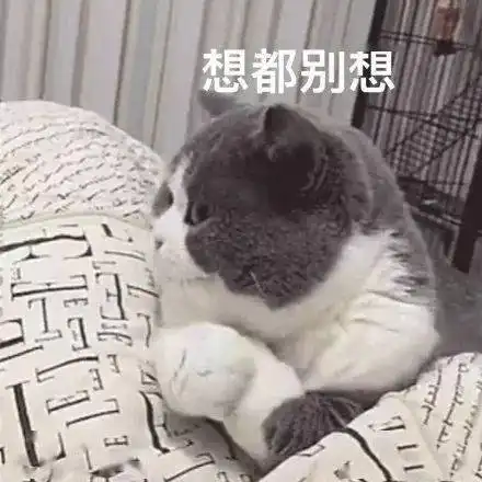  猫咪表情包接下来你是不是要凶我了