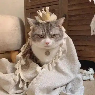  头像分享世间万般苦,你是一点甜什么