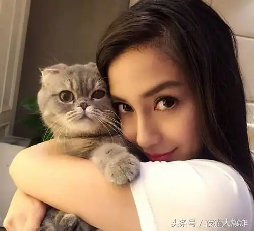 哪一位艺人与猫的互动,戳中了你的心