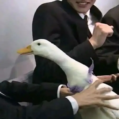  极致沙雕的情侣头像,给我接住